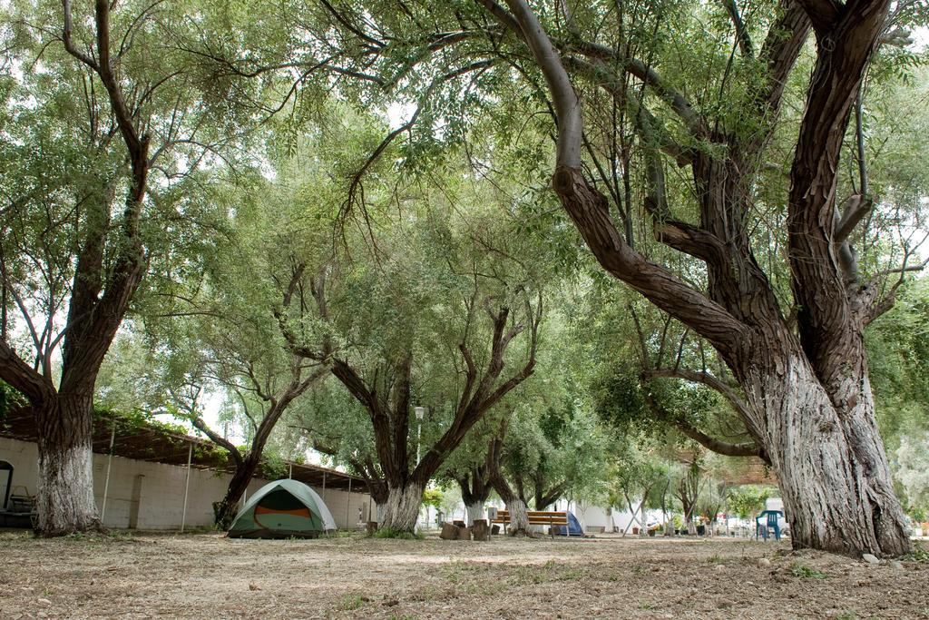 Camping Koula Парікія Номер фото